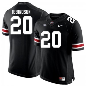 Ohio State #20 Men's Davison Igbinosun Jersey Black Football Replica 223252-188