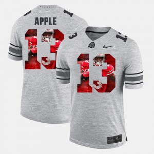 #13 Eli Apple Ohio State Buckeyes Pictorital Gridiron Fashion Mens Pictorial Gridiron Fashion Jersey - Gray