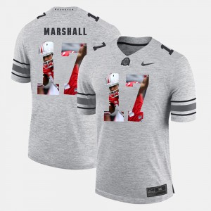 #17 Jalin Marshall Ohio State Buckeyes For Men Pictorital Gridiron Fashion Pictorial Gridiron Fashion Jersey - Gray