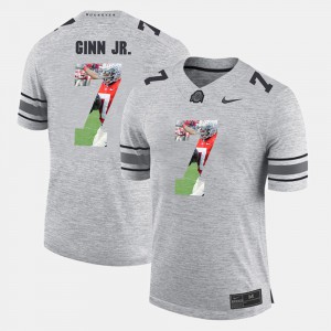 #7 Ted Ginn Jr. Ohio State Buckeyes Pictorital Gridiron Fashion For Men Pictorial Gridiron Fashion Jersey - Gray